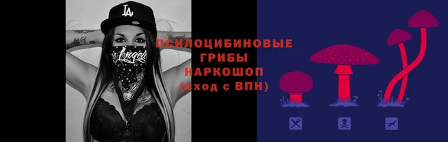 прущие крисы Абаза
