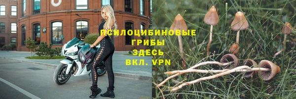 прущие крисы Абаза